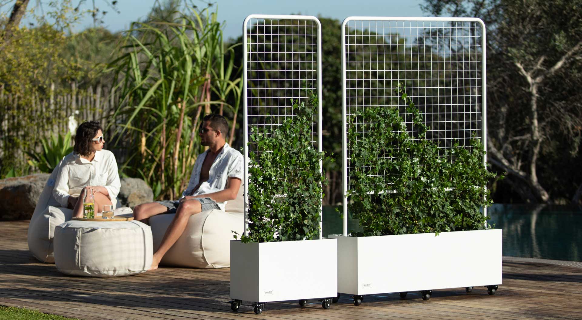 הקיר המושלם: בגינה, בבית קפה ואפילו במסעדה – קיר ירוק מלא בצמחיה